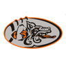 Logo de Badalona Dracs