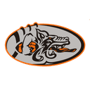 Logo de Badalona Dracs